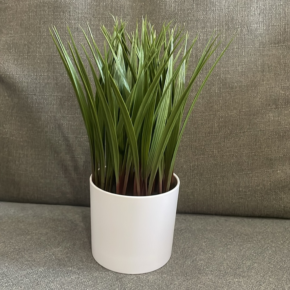 Target Green and White Faux Tall Grass Potted  Floral Accent